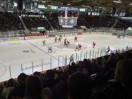 Colisée de Rimouski Interior
