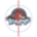 Rockford IceHogs 2008 Center Ice and Rink Layout | TheFaceoff.net