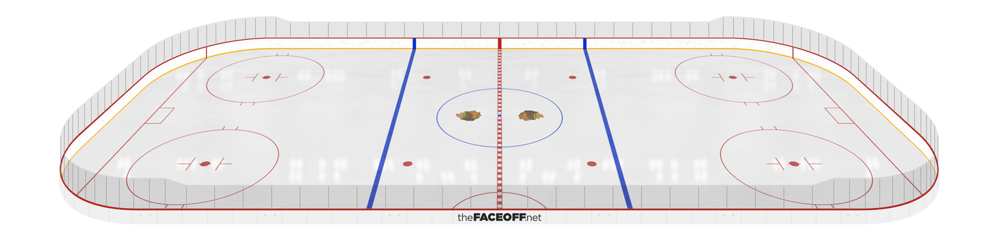 Chicago Blackhawks 1981