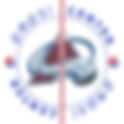 Colorado Avalanche 2010 Playoffs Center Ice and Rink Layout | TheFaceoff.net