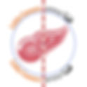Detroit Red Wings 2021 Center Ice and Rink Layout | TheFaceoff.net