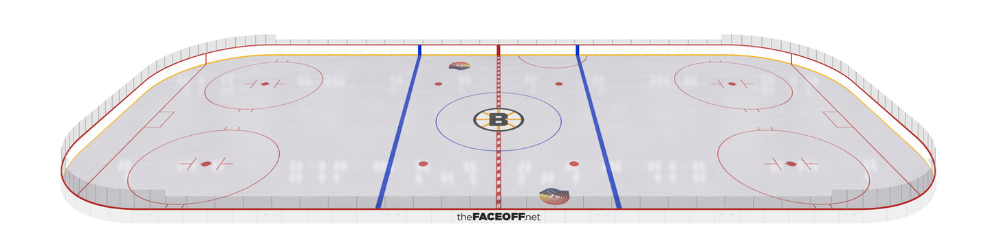 Boston Bruins 1982