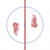 Detroit Red Wings 1963