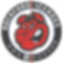 Rockford IceHogs 2023 Center Ice and Rink Layout | TheFaceoff.net