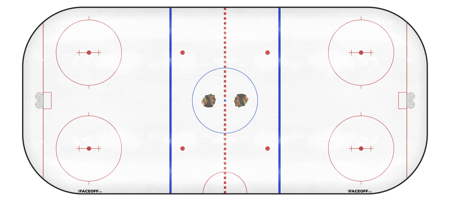 Chicago Blackhawks 1965 Final