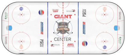 Rink Empty.jpg