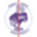 Niagara Purple Eagles 2024 Center Ice and Rink Layout | TheFaceoff.net