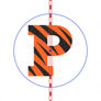 Princeton Tigers 2025