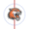 RIT Tigers 2010 Center Ice and Rink Layout | TheFaceoff.net