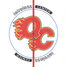 Quad City Flames 2009