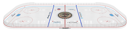 _Full Rink 3D.png