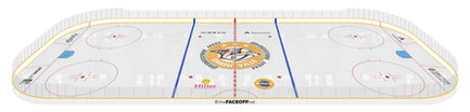 _Full Rink 3D.png