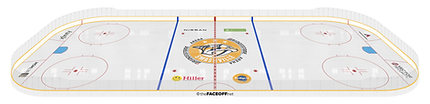 _Full Rink 3D.png