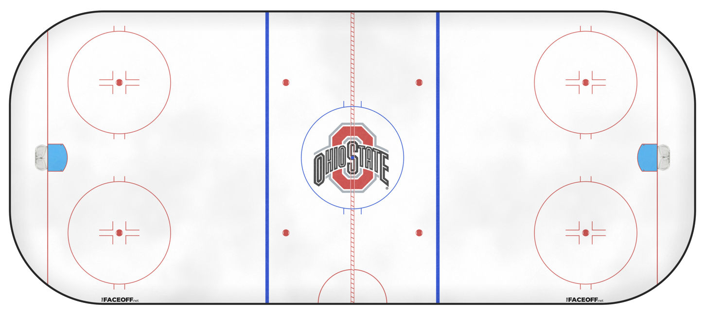 Ohio State Buckeyes 2008