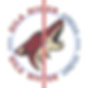 Arizona Coyotes 2015 Center Ice and Rink Layout | TheFaceoff.net