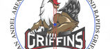 Grand Rapids Griffins 2020