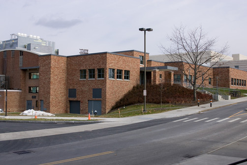 Lynah Rink