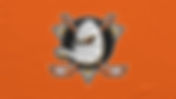 Anaheim Ducks