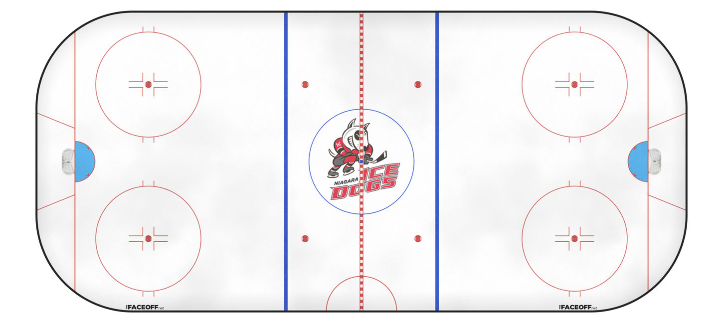 Niagara IceDogs 2010