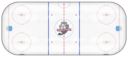 Rink Empty.jpg