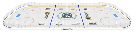 _Full Rink 3D.png