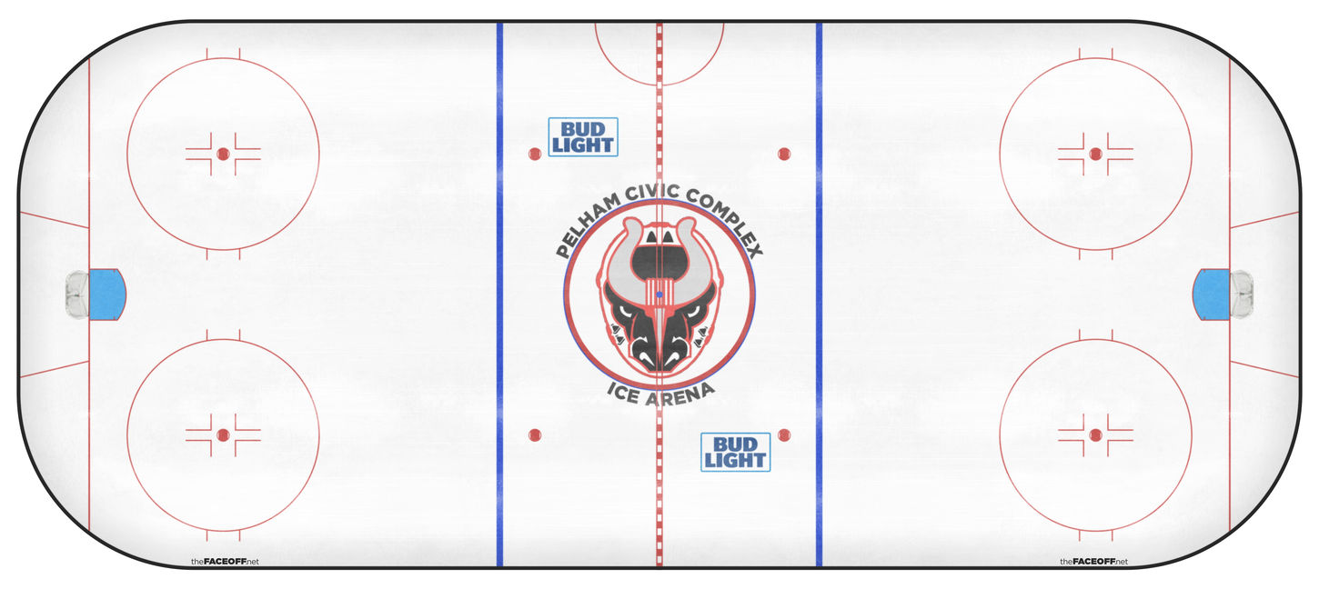 Birmingham Bulls 2019