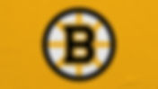 Boston Bruins