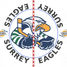 Surrey Eagles 2025
