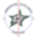 Dallas Stars 2021 Center Ice and Rink Layout | TheFaceoff.net