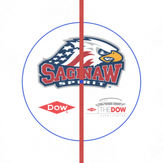 Saginaw Spirit 2020