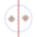 NHL Challenge Cup 1979 - New York Center Ice and Rink Layout | TheFaceoff.net