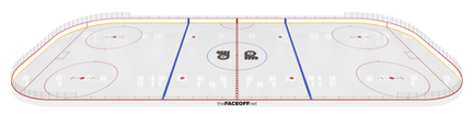 _Full Rink 3D.png