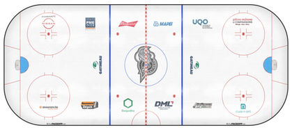 Rink Empty.jpg