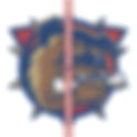 Hamilton Bulldogs 2005 Center Ice and Rink Layout | TheFaceoff.net