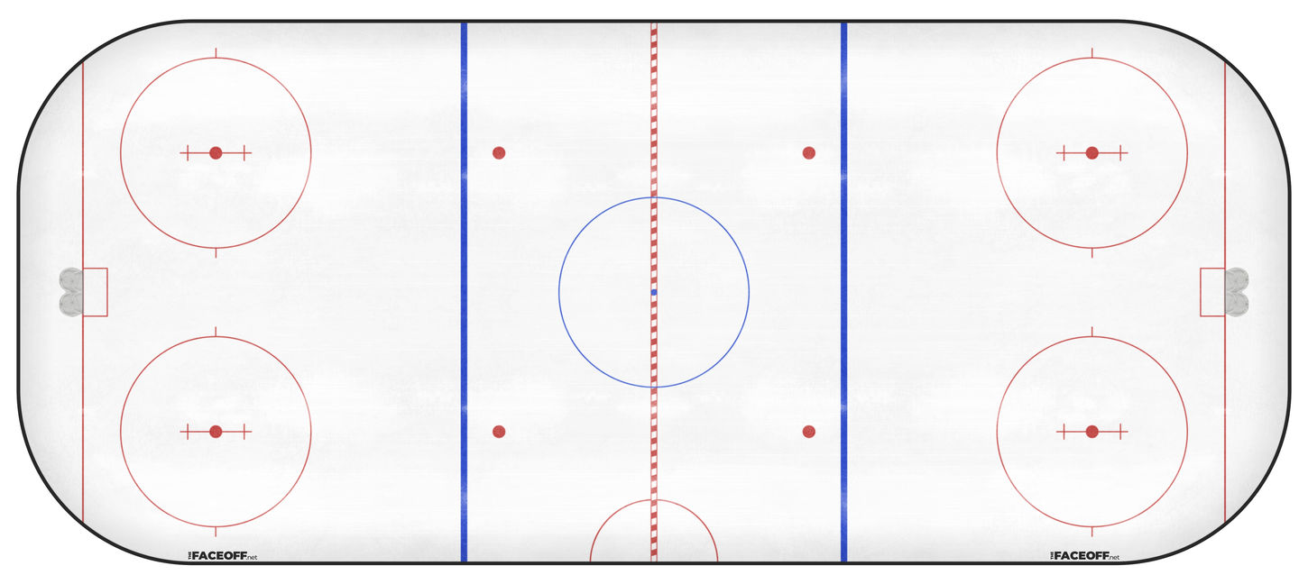 New York Islanders 1973