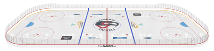 _Full Rink 3D.png