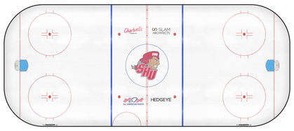 Rink Empty.jpg
