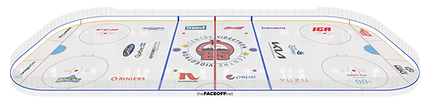 _Full Rink 3D.png