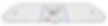 _Full Rink 3D.png