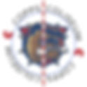 Hamilton Bulldogs 2014 (1st) Center Ice and Rink Layout | TheFaceoff.net