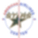 Dallas Stars 2011 Center Ice and Rink Layout | TheFaceoff.net