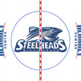 Mississauga Steelheads 2014