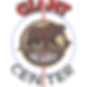 Hershey Bears 2020 Center Ice and Rink Layout | TheFaceoff.net
