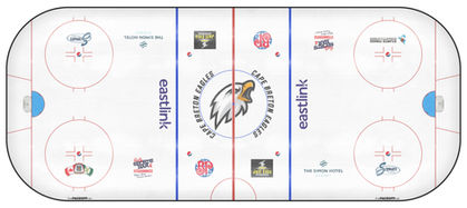 Rink Empty.jpg