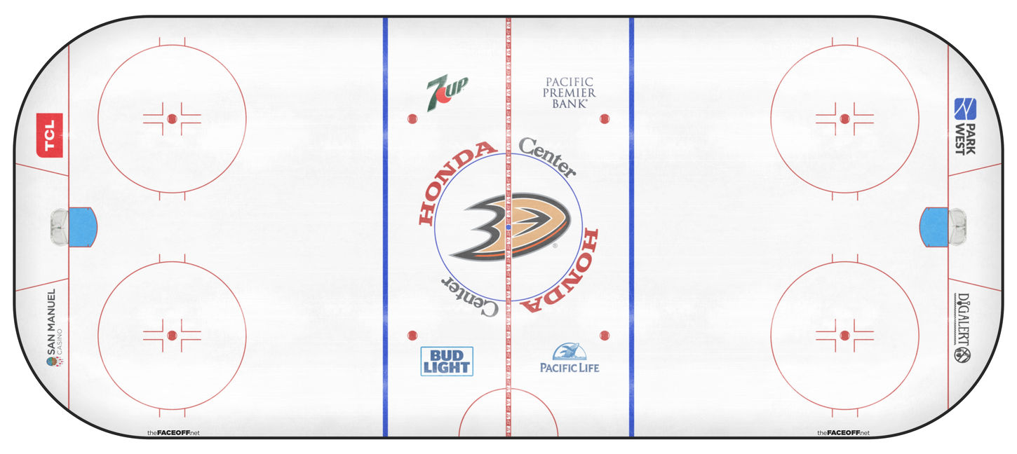 Anaheim Ducks 2020
