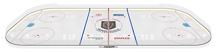 _Full Rink 3D.png