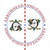 Mighty Ducks of Anaheim 1994 (3rd)