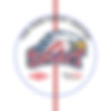 Saginaw Spirit 2012 Center Ice and Rink Layout | TheFaceoff.net