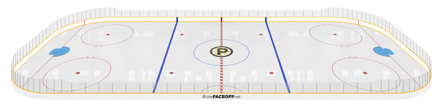 Providence Bruins 1993