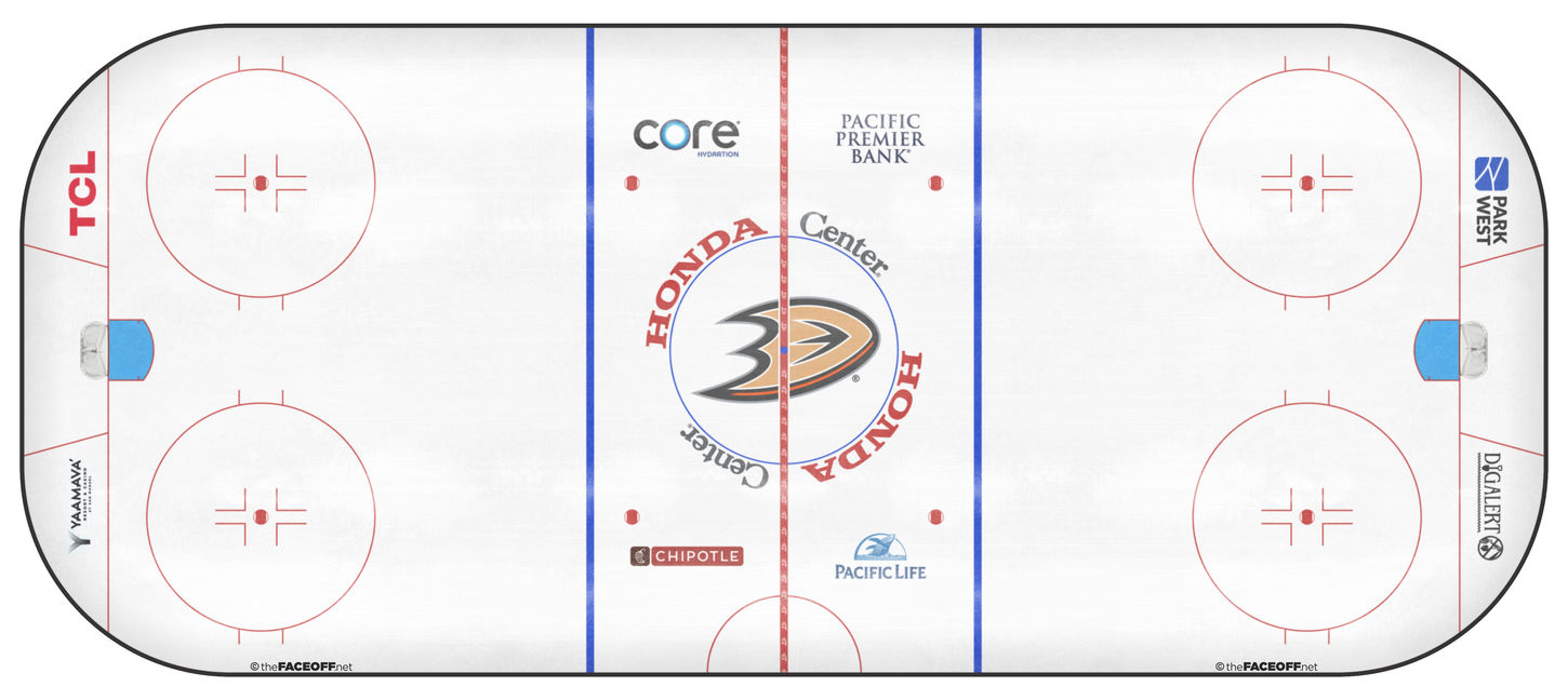 Anaheim Ducks 2022
